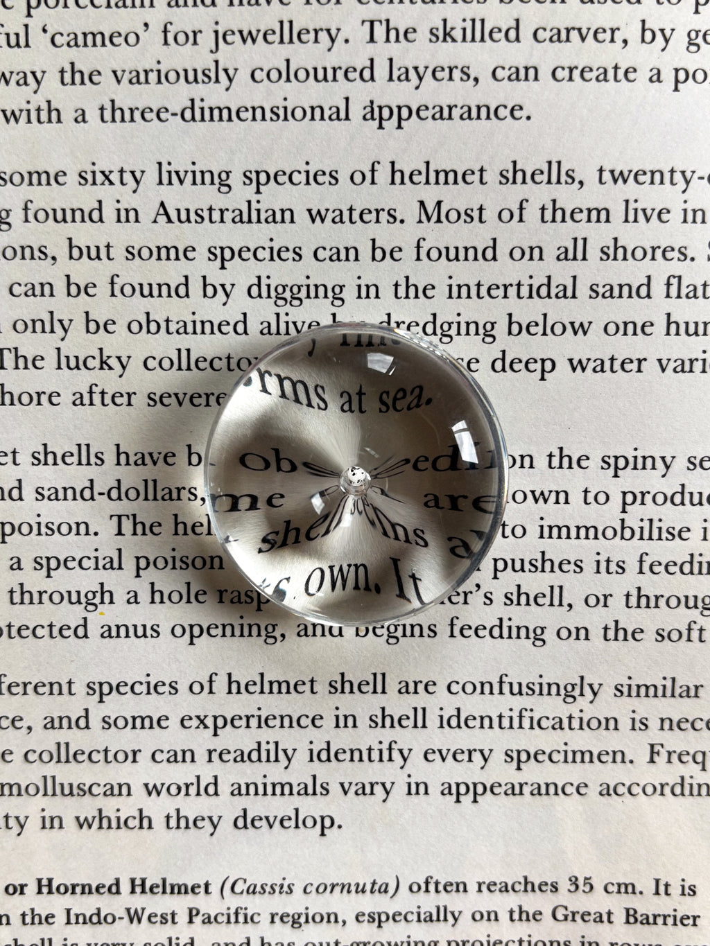 Glass Incense Holder ~ Clear